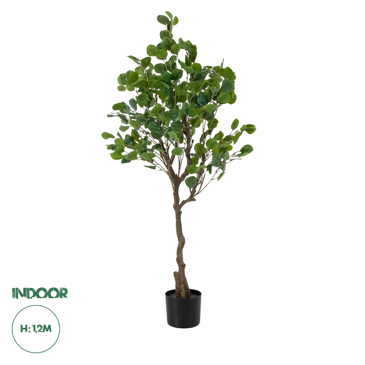 Φωτογραφία προϊόντος: GloboStar® Artificial Garden EUCALYPTUS 20190 Τεχνητό Διακοσμητικό Φυτό Ευκάλυπτος Υ120cm