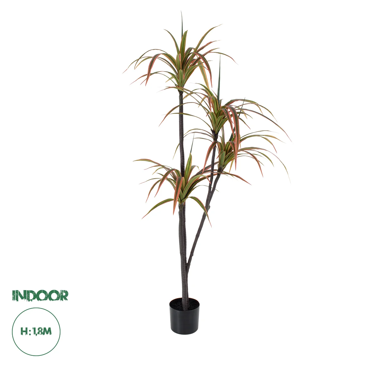 Φωτογραφία προϊόντος: GloboStar® Artificial Garden DRAGON BLOOD TREE 20372 - Τεχνητό Διακοσμητικό Φυτό Δράκαινα Υ180cm