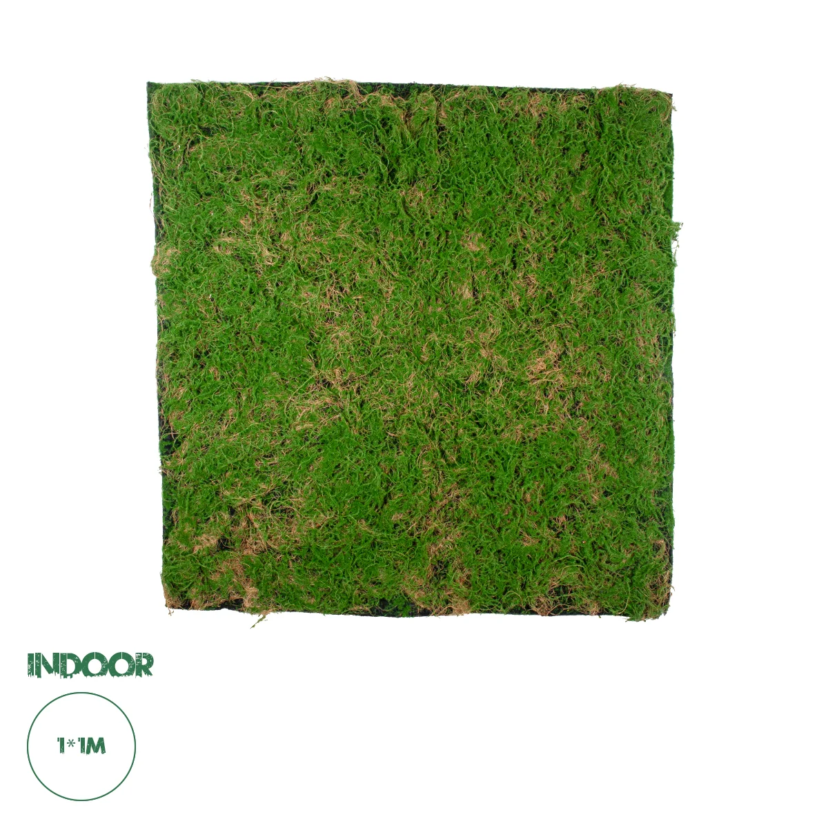 Φωτογραφία προϊόντος: GloboStar® Artificial Garden BRYOPHYTA 20144 Τεχνητό Διακοσμητικό Πάνελ Φυλλωσιάς - Κάθετος Κήπος Βρύα Μ100 x Π100 x Υ3cm