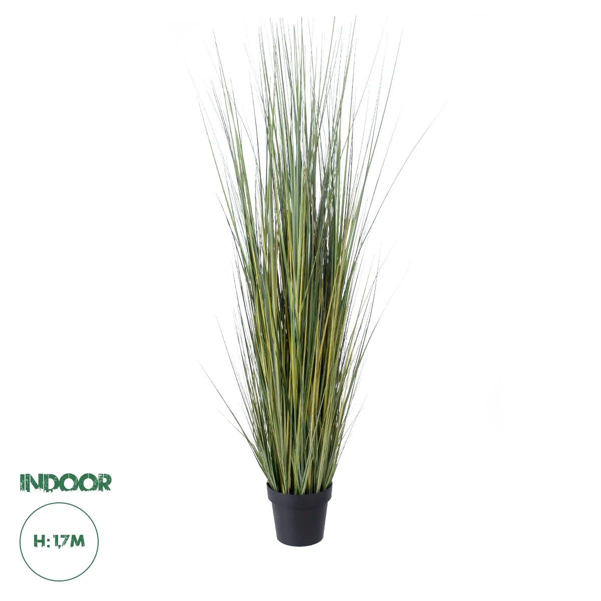 Φωτογραφία προϊόντος: GloboStar® Artificial Garden PAMPAS GRASS 20072 Τεχνητό Διακοσμητικό Φυτό Γρασίδι της Πάμπας Υ170cm