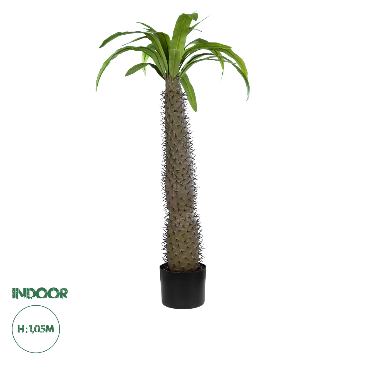 Φωτογραφία προϊόντος: GloboStar® Artificial Garden PACHYPODIUM LAMEREI PALM TREE 20129 Τεχνητό Διακοσμητικό Φυτό Φοίνικας της Μαγαδασκάρης Υ105cm