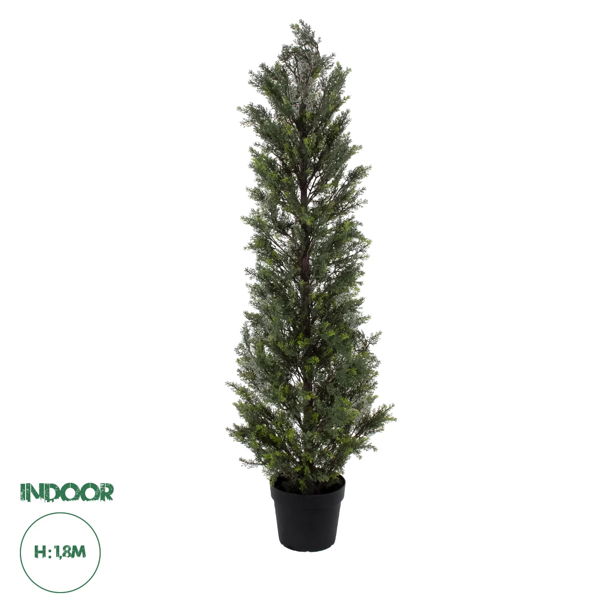 Φωτογραφία προϊόντος: GloboStar® Artificial Garden LEMON CYPRESS 20153 Τεχνητό Διακοσμητικό Φυτό Λεμονόκυπάρισσο Υ180cm