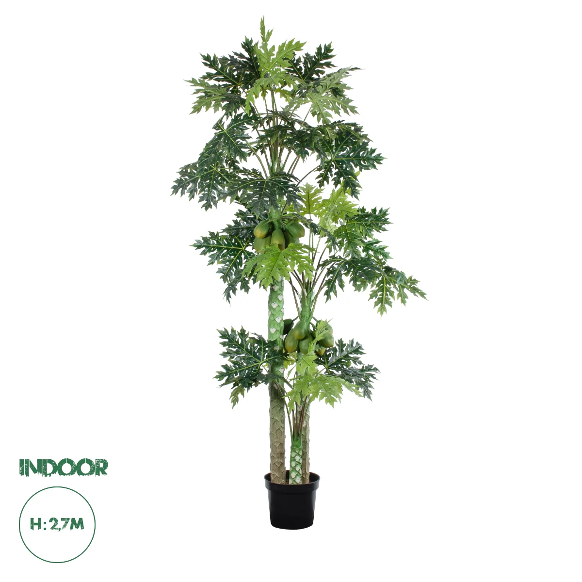 Φωτογραφία προϊόντος: GloboStar® Artificial Garden PAPAYA TREE 20383 Τεχνητό Διακοσμητικό Φυτό Παπάγια Υ270cm