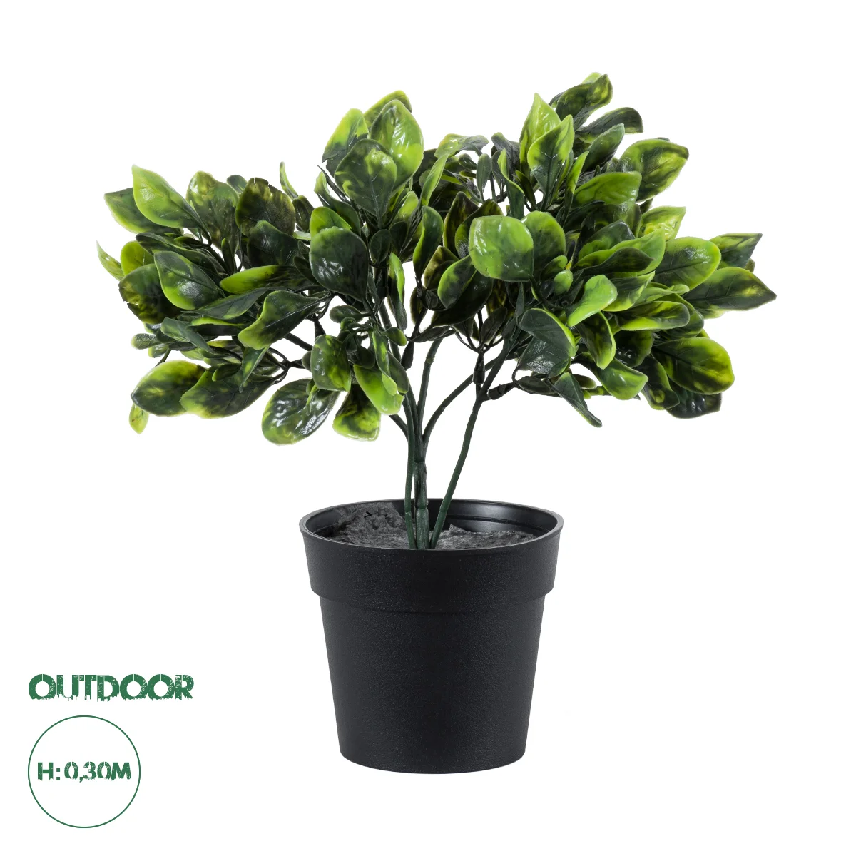 Φωτογραφία προϊόντος: GloboStar® Artificial Garden ANUBIA BARTERI 20390 Τεχνητό Διακοσμητικό Φυτό Ανούμπια Υ30cm