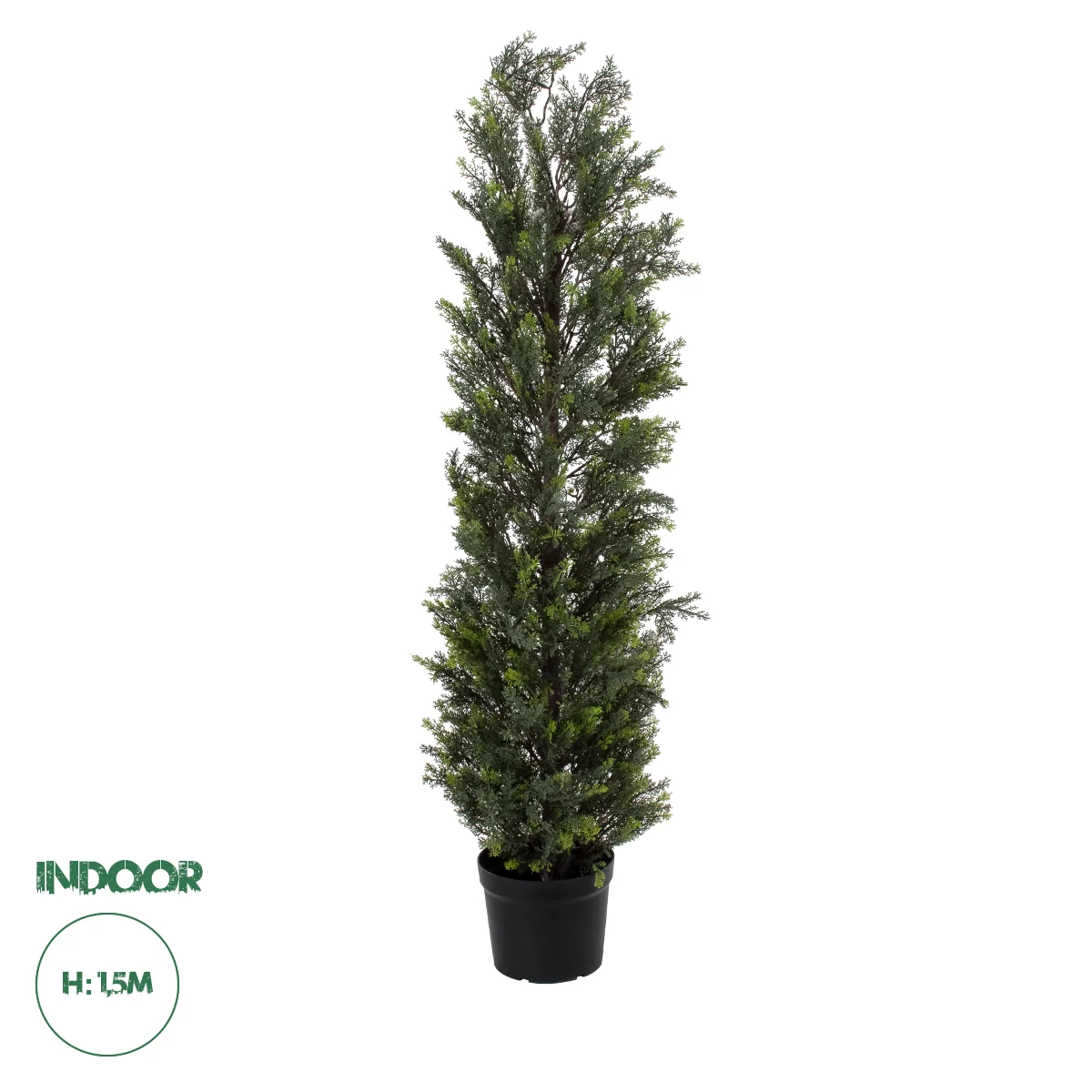 Φωτογραφία προϊόντος: GloboStar® Artificial Garden LEMON CYPRESS 20152 Τεχνητό Διακοσμητικό Φυτό Λεμονόκυπάρισσο Υ150cm