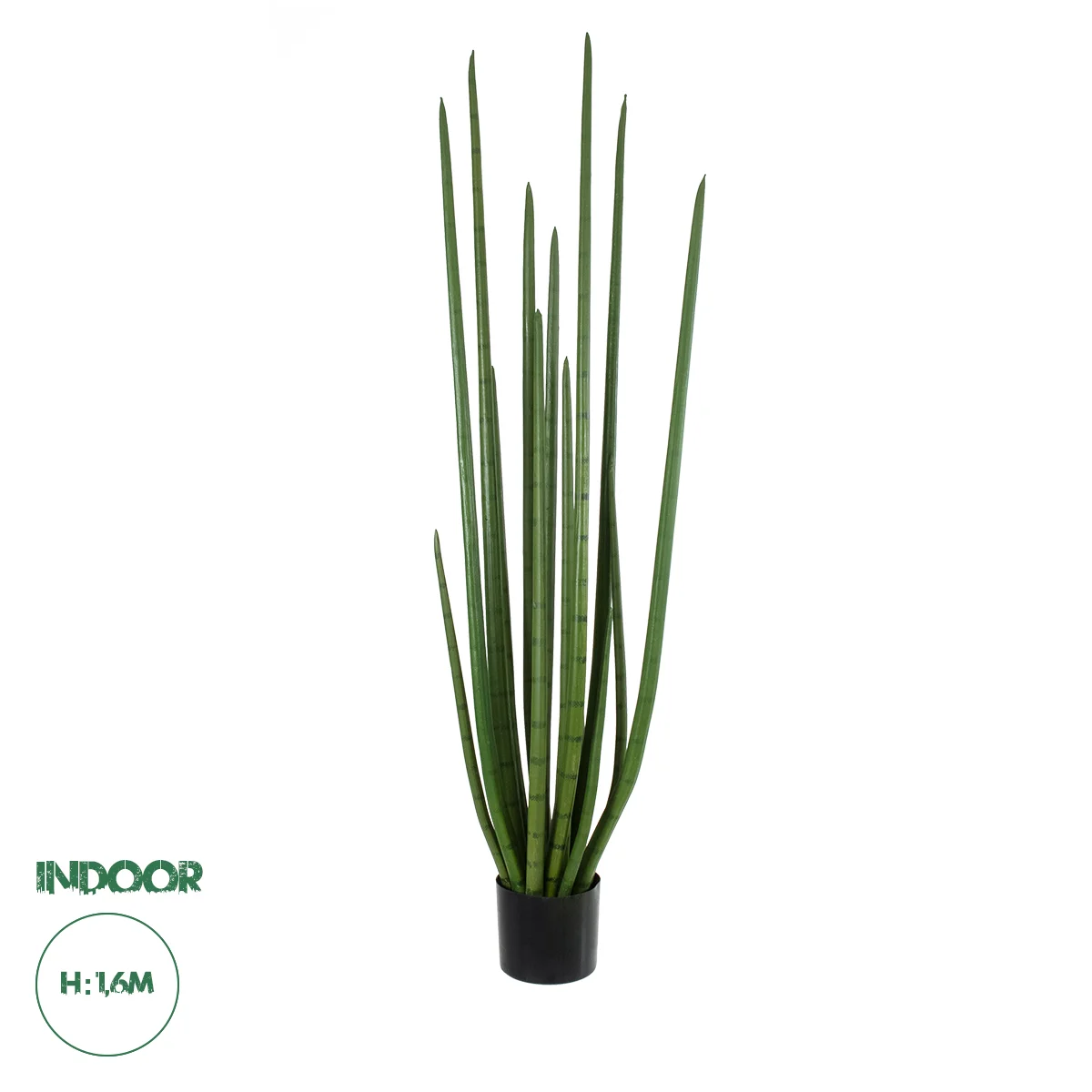 Φωτογραφία προϊόντος: GloboStar® Artificial Garden SANSEVIERIA CYLINDRICA 20211 Τεχνητό Διακοσμητικό Φυτό Σανσεβιέρια Υ160cm