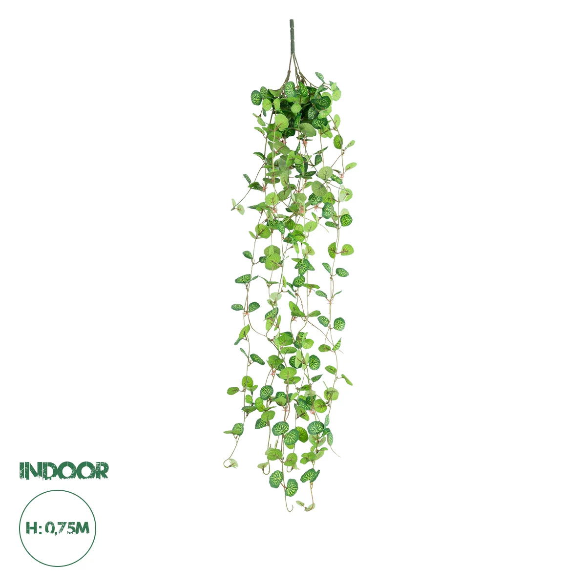 Φωτογραφία προϊόντος: GloboStar® Artificial Garden IVY HANGING BRANCH 20237 Τεχνητό Διακοσμητικό Κρεμαστό Φυτό Κισσός Υ75cm