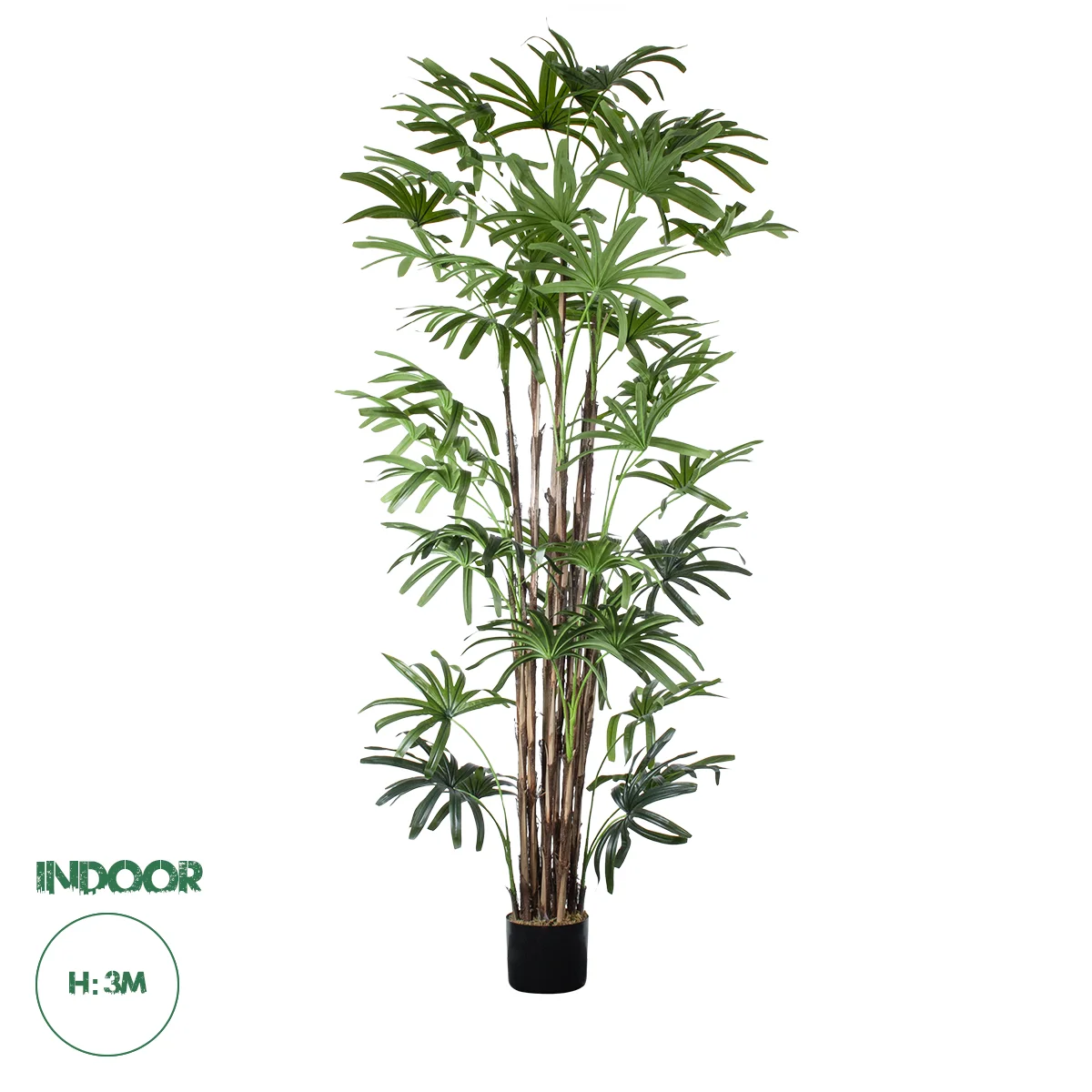 Φωτογραφία προϊόντος: GloboStar® Artificial Garden BROADLEAF LADY PALM TREE 20384 Τεχνητό Διακοσμητικό Φυτό Πλατύφυλλος Φοίνικας Μπαμπού Υ300cm