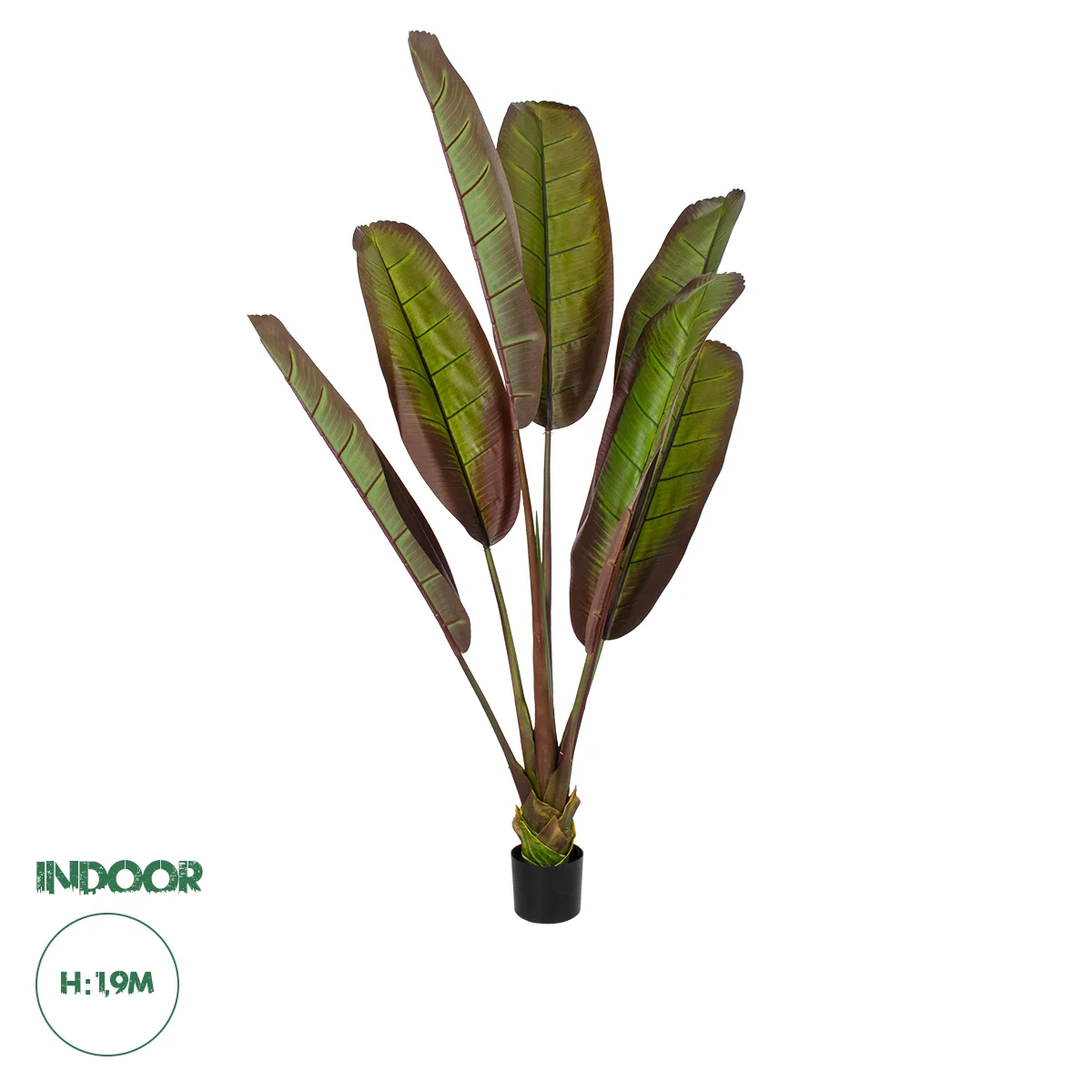 Φωτογραφία προϊόντος: GloboStar® Artificial Garden BLOODY BANANA TREE 20118 - Τεχνητό Διακοσμητικό Φυτό Αιματόφυλλη Μπανανιά - Μπανανόδεντρο Υ190cm