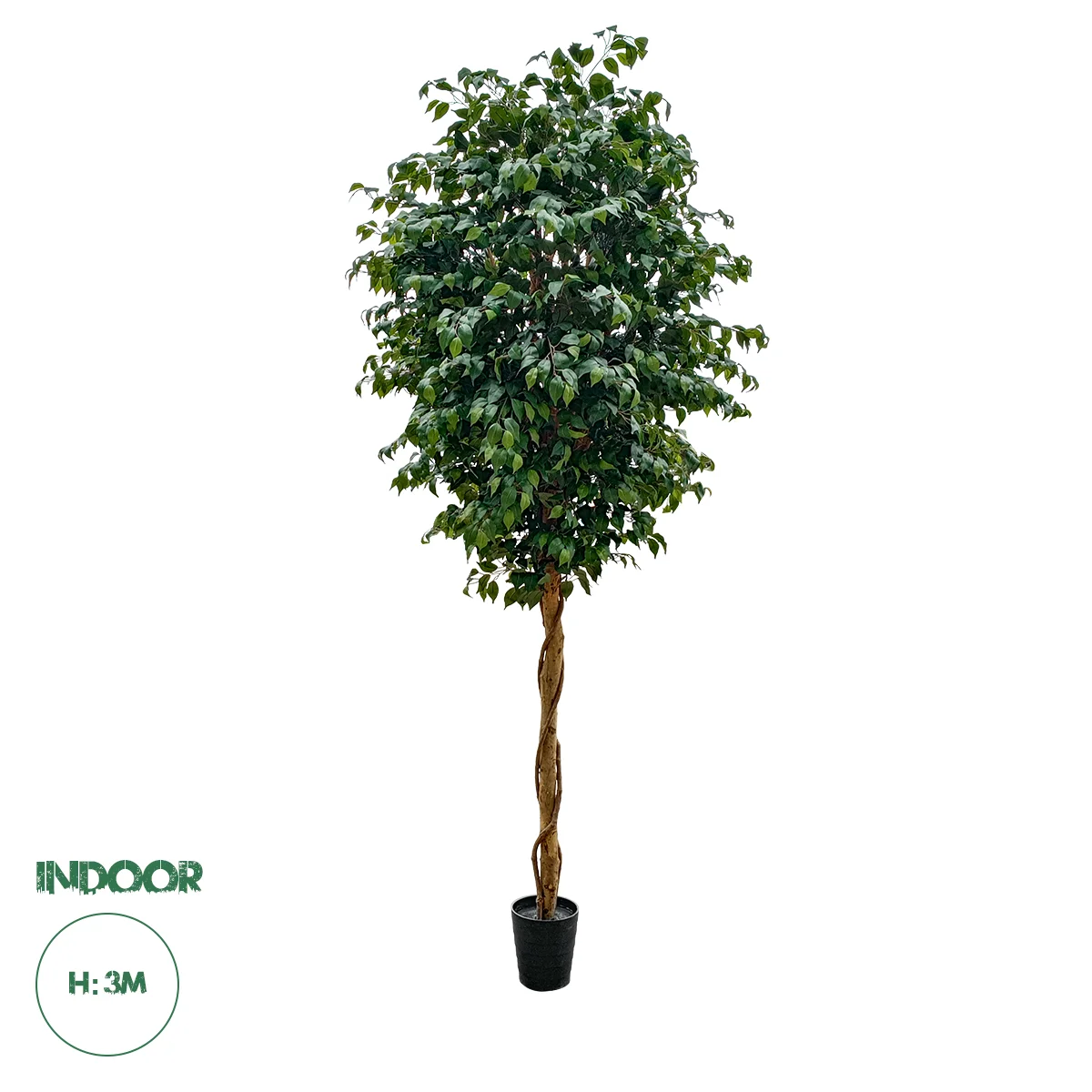 Φωτογραφία προϊόντος: GloboStar® Artificial Garden FICUS BENJAMINA TREE 20432 Τεχνητό Διακοσμητικό Φυτό Φίκος Μπενζαμίνη Υ300cm