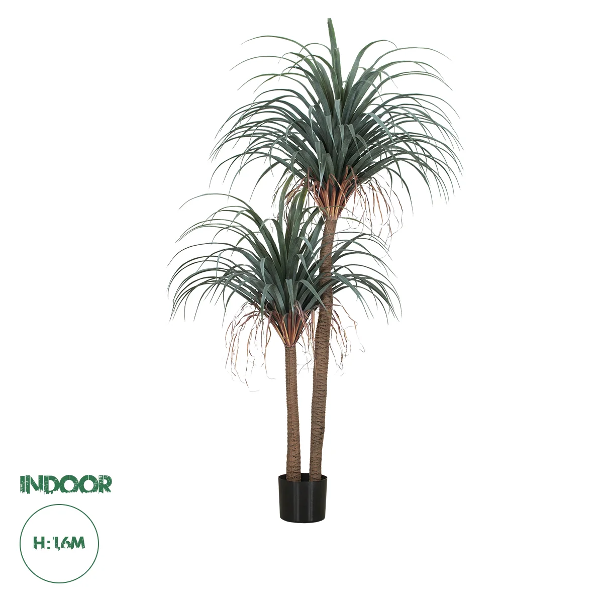 Φωτογραφία προϊόντος: GloboStar® Artificial Garden PANDANUS TREE 20049 Τεχνητό Διακοσμητικό Φυτό Πάνδανος Υ160cm