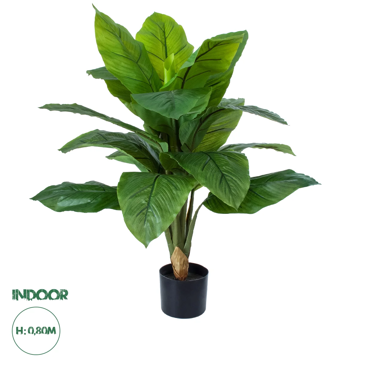 Φωτογραφία προϊόντος: GloboStar® Artificial Garden ROHDEA JAPONICA 20068 Τεχνητό Διακοσμητικό Φυτό Ιαπωνέζικη Ροδέα Υ80cm