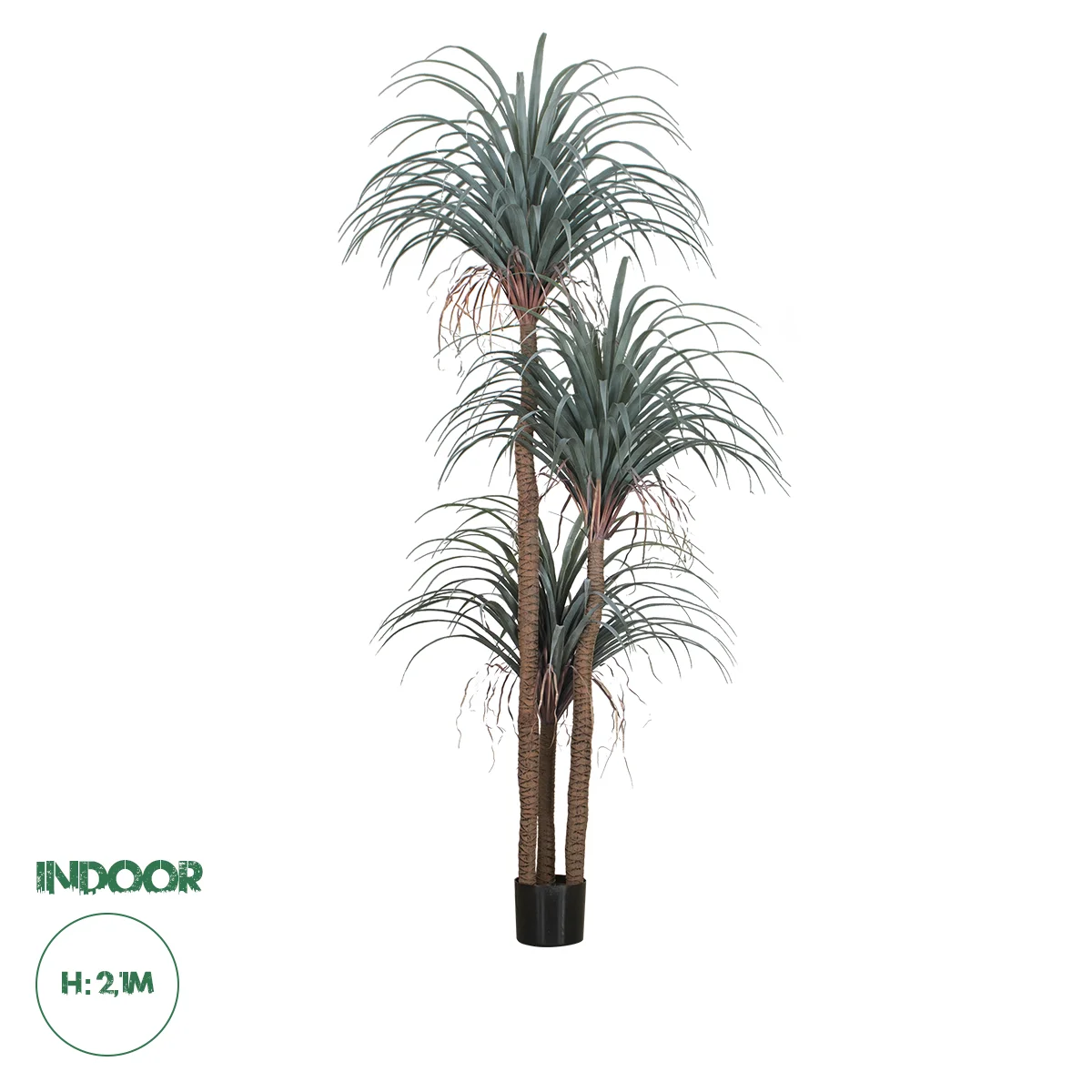 Φωτογραφία προϊόντος: GloboStar® Artificial Garden PANDANUS TREE 20050 Τεχνητό Διακοσμητικό Φυτό Πάνδανος Υ210cm