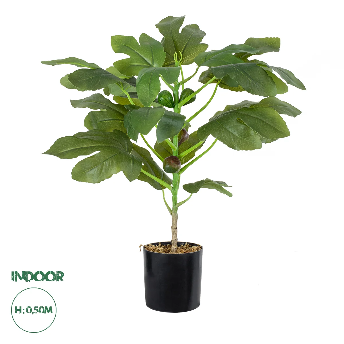 Φωτογραφία προϊόντος: GloboStar® Artificial Garden FIG TREE 20380 Τεχνητό Διακοσμητικό Φυτό Συκιά Υ50cm