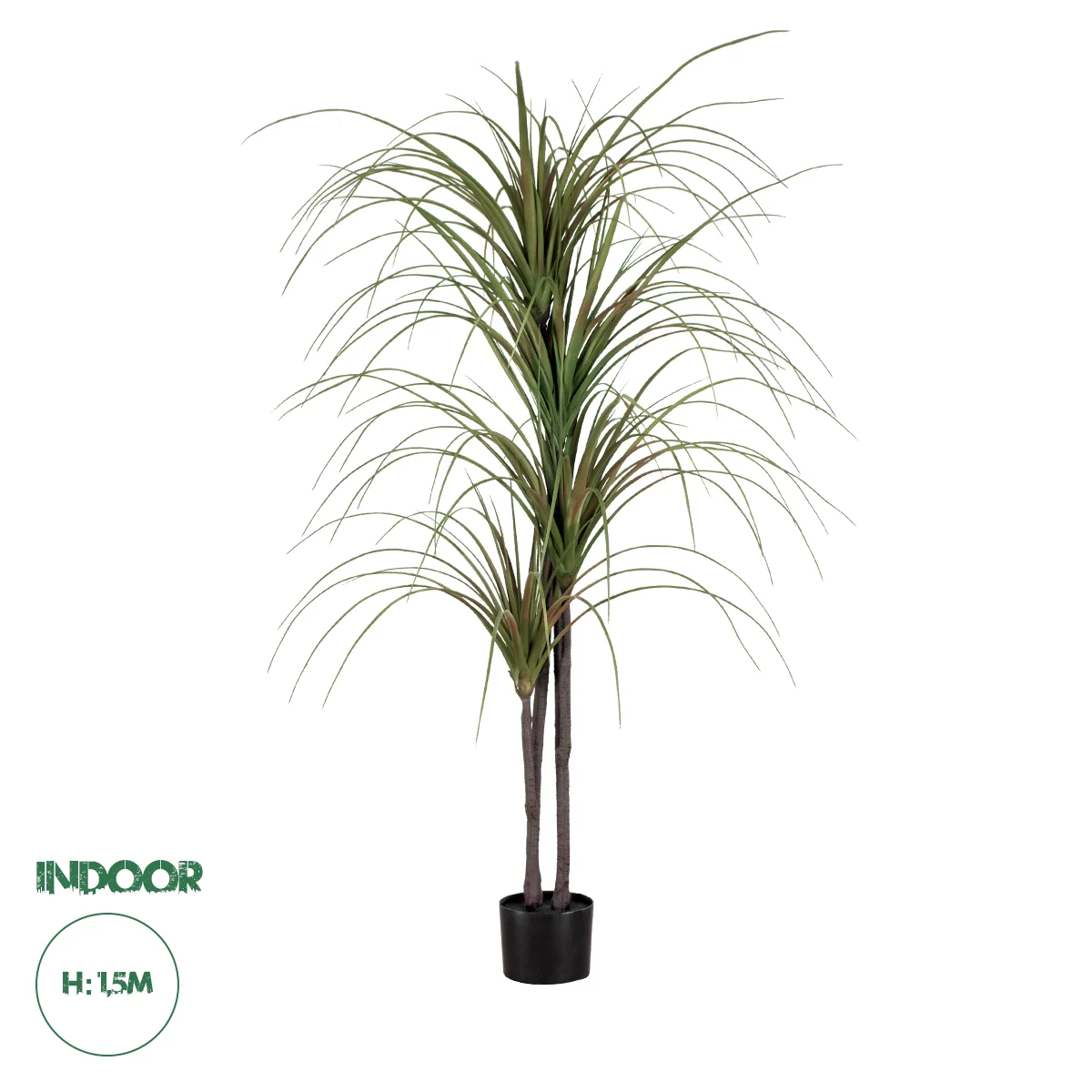 Φωτογραφία προϊόντος: GloboStar® Artificial Garden DRAGON BLOOD TREE 20015 - Τεχνητό Διακοσμητικό Φυτό Δράκαινα Υ150cm