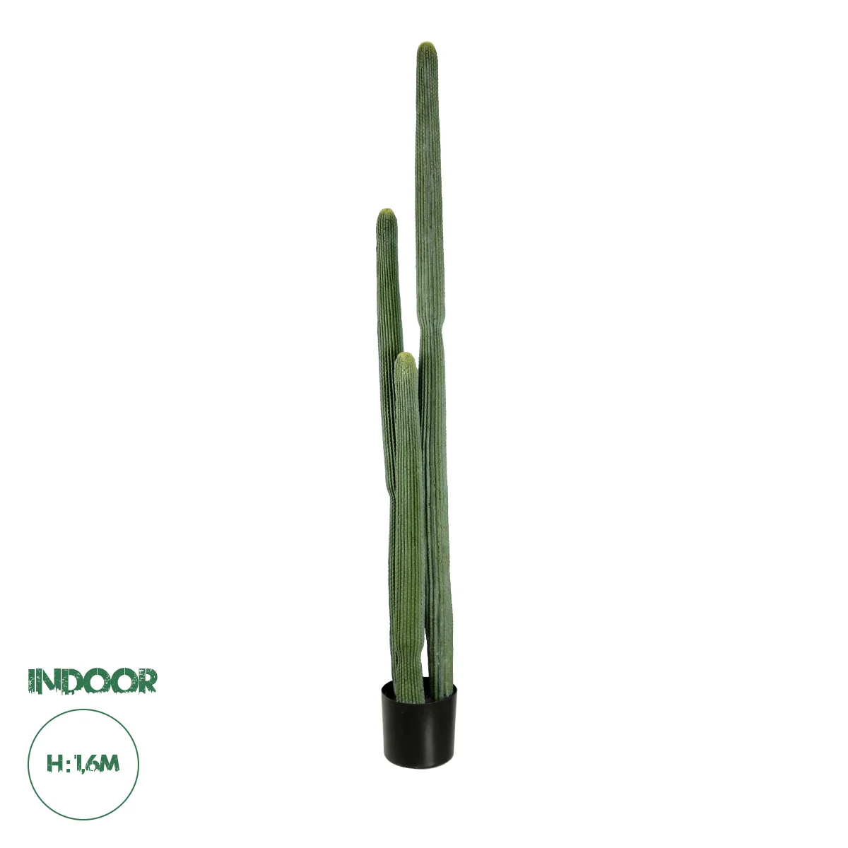 Φωτογραφία προϊόντος: GloboStar® Artificial Garden CARNEGIEA CACTUS 20123 Τεχνητό Διακοσμητικό Φυτό Κάκτος Σαγκουάρο Υ160cm