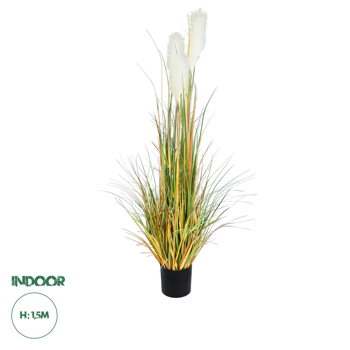 Φωτογραφία προϊόντος: GloboStar® Artificial Garden PAMPAS GRASS 20105 Τεχνητό Διακοσμητικό Φυτό Γρασίδι της Πάμπας Υ150cm