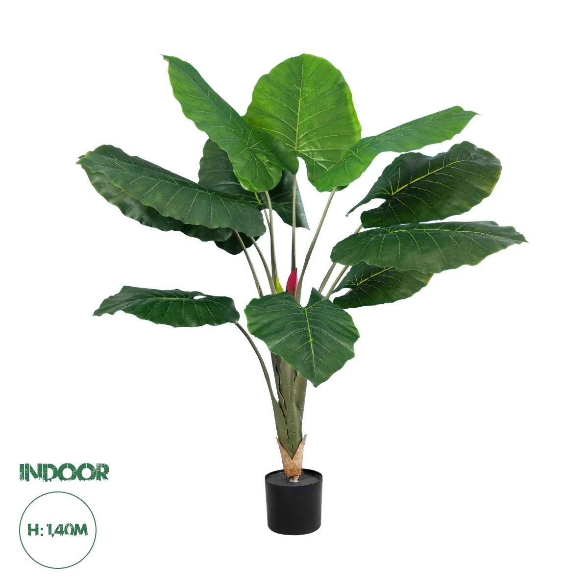 Φωτογραφία προϊόντος: GloboStar® Artificial Garden TARO 20216 Τεχνητό Διακοσμητικό Φυτό Κολοκασία Υ140cm