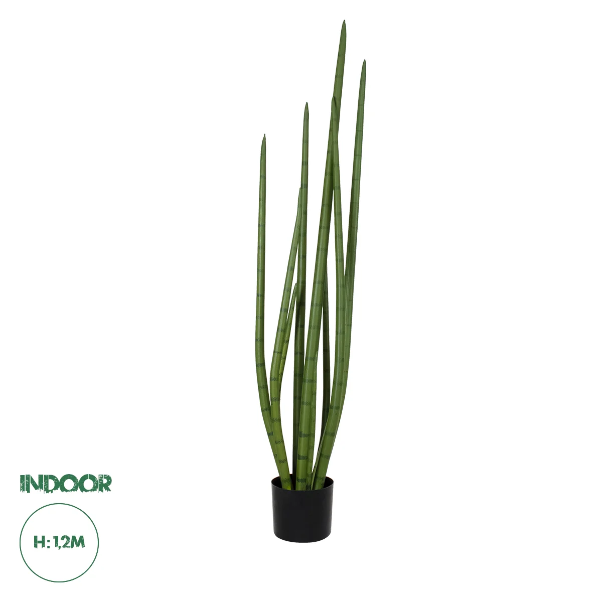 Φωτογραφία προϊόντος: GloboStar® Artificial Garden SANSEVIERIA CYLINDRICA 20210 Τεχνητό Διακοσμητικό Φυτό Σανσεβιέρια Υ120cm