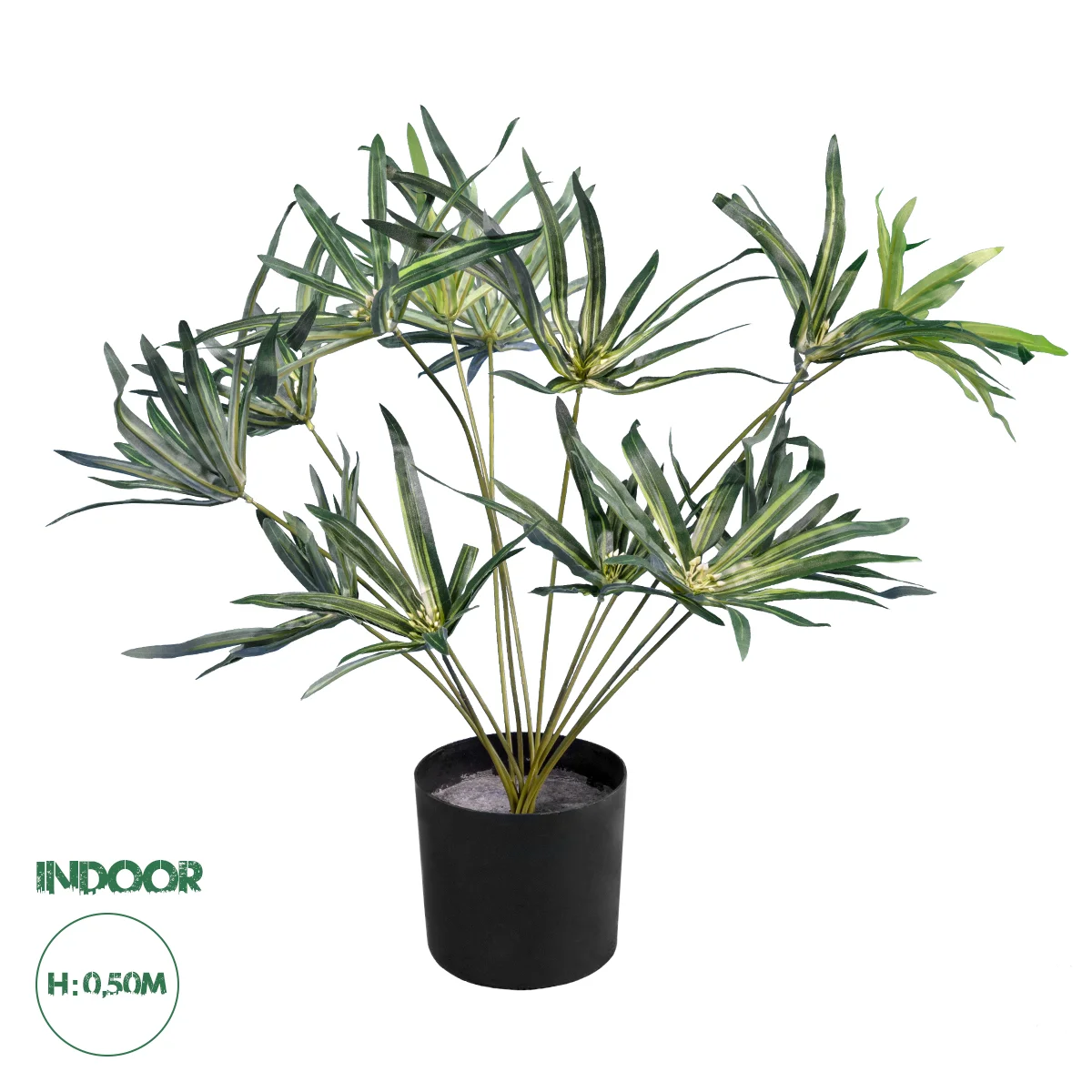 Φωτογραφία προϊόντος: GloboStar® Artificial Garden BROADLEAF LADY PALM 20059 Τεχνητό Διακοσμητικό Φυτό Πλατύφυλλος Φοίνικας Μπαμπού Υ50cm