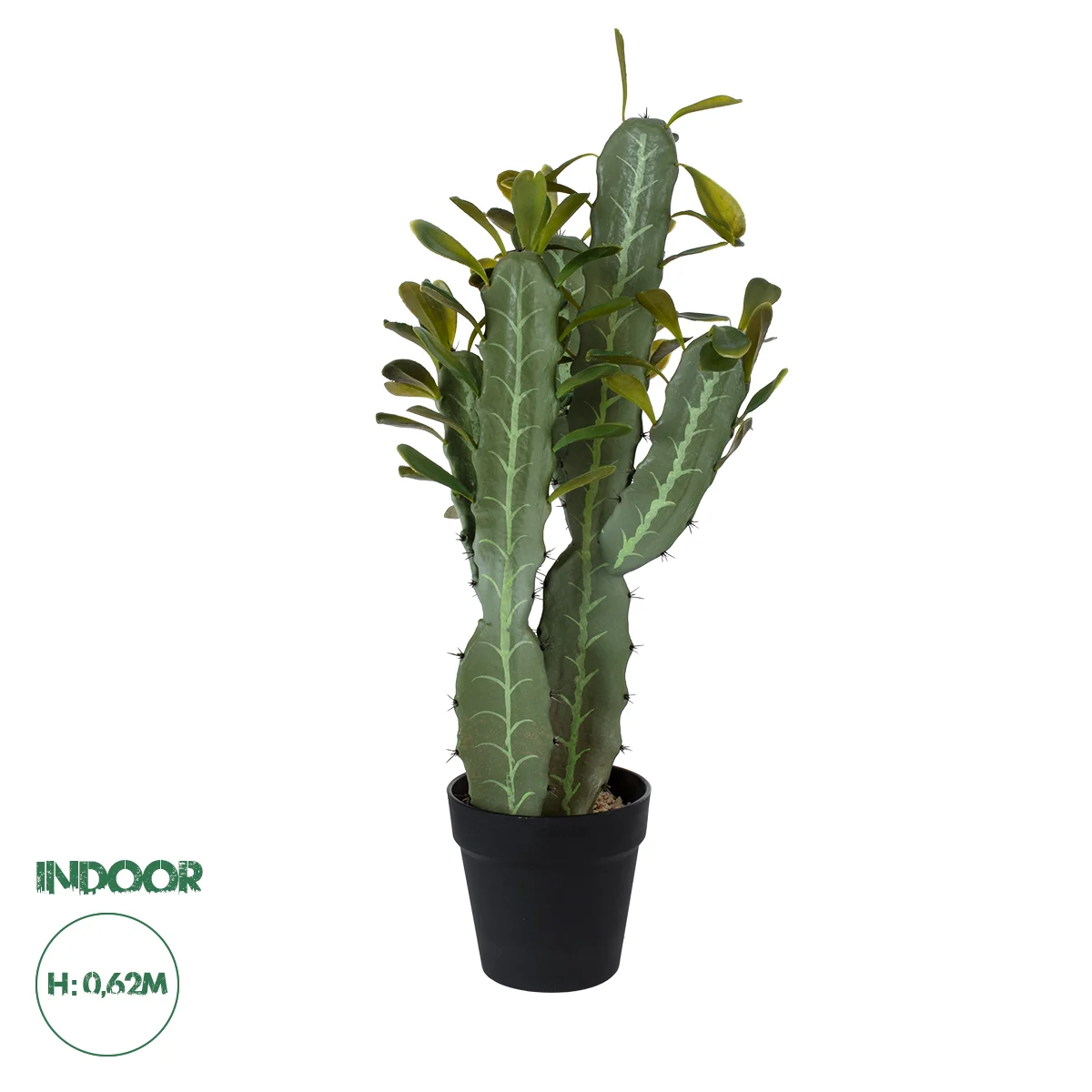 Φωτογραφία προϊόντος: GloboStar® Artificial Garden CEREUS JAMACARU CACTUS 20102 Τεχνητό Διακοσμητικό Φυτό Κάκτος Κηρίος Υ62cm