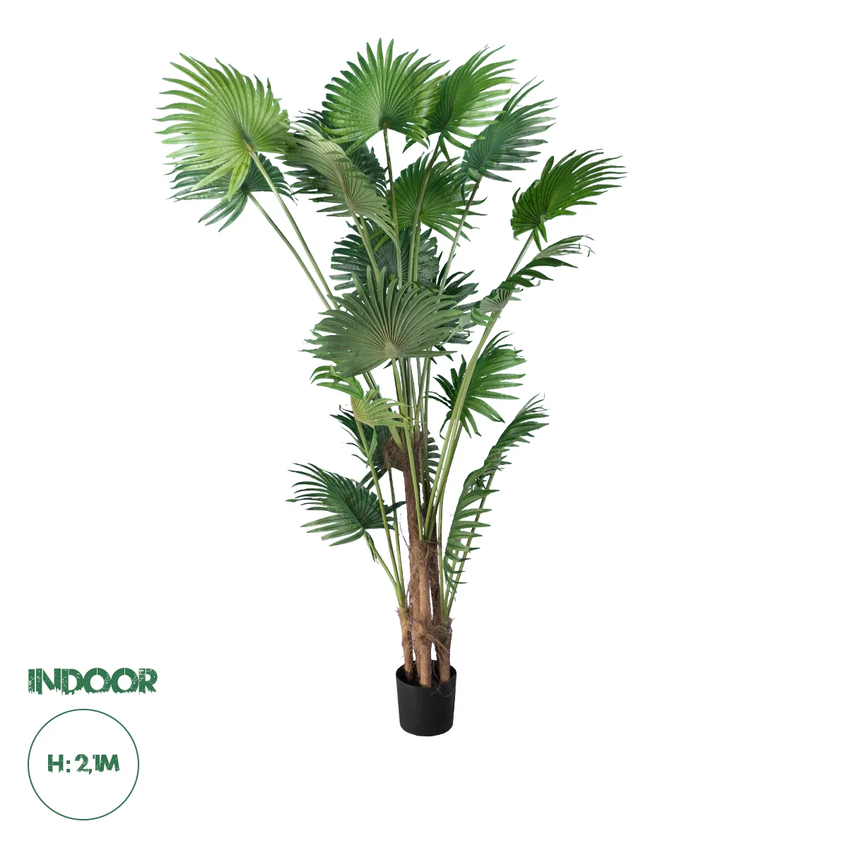 Φωτογραφία προϊόντος: GloboStar® Artificial Garden PALM TREE 20014 Τεχνητό Διακοσμητικό Φυτό Φοινικόδεντρο Βεντάλια Υ210cm