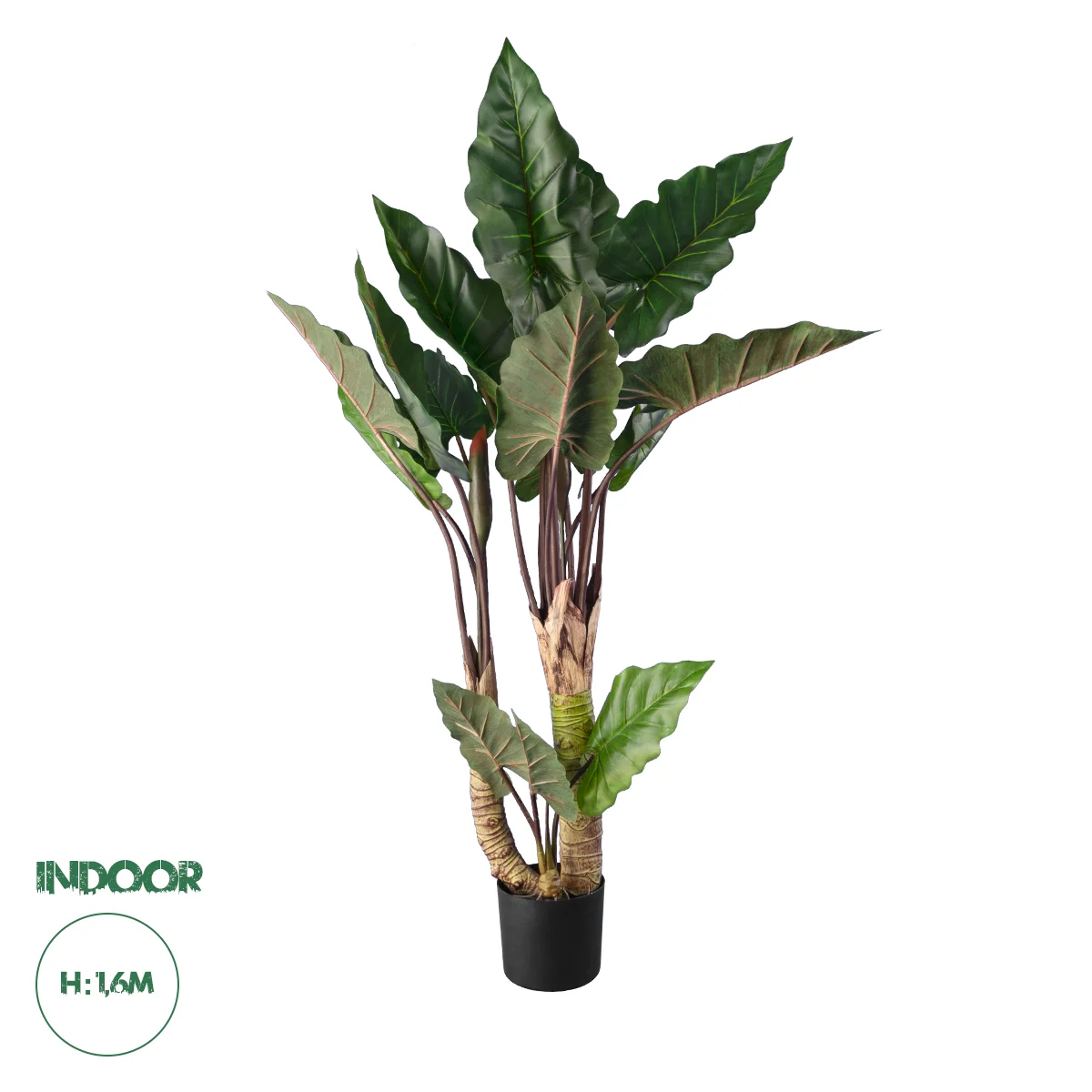 Φωτογραφία προϊόντος: GloboStar® Artificial Garden RAINBOW TARO 20208 Τεχνητό Διακοσμητικό Φυτό Κολοκασία Υ160cm