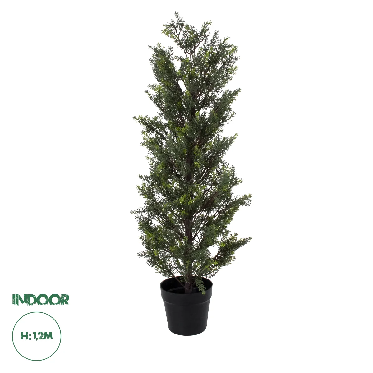 Φωτογραφία προϊόντος: GloboStar® Artificial Garden LEMON CYPRESS 20151 Τεχνητό Διακοσμητικό Φυτό Λεμονόκυπάρισσο Υ120cm