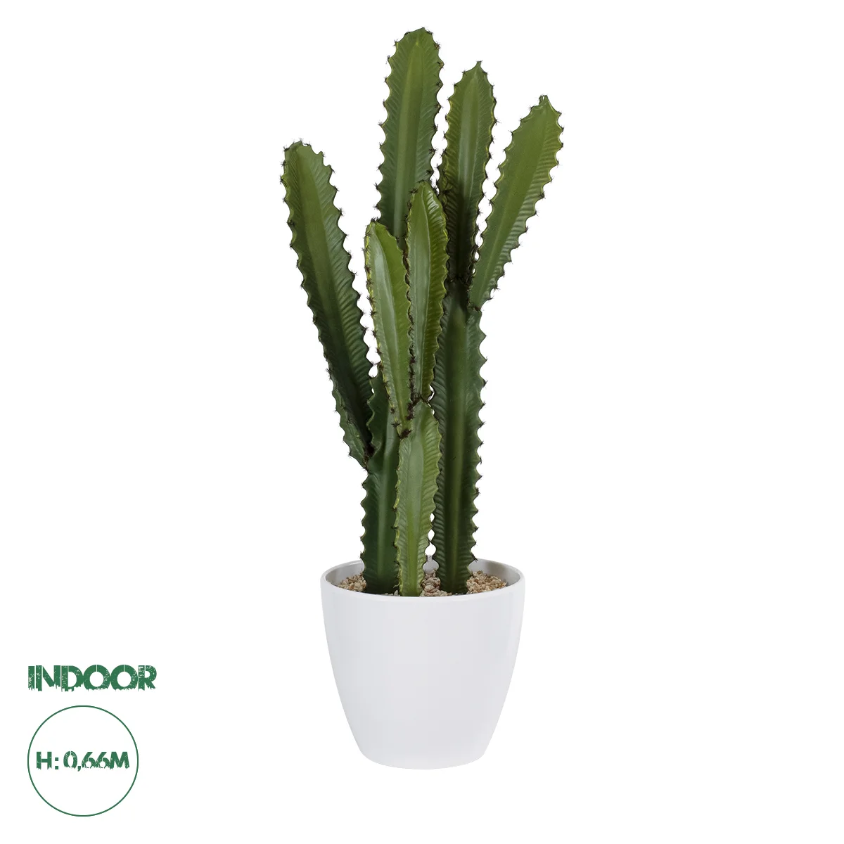 Φωτογραφία προϊόντος: GloboStar® Artificial Garden CEREUS JAMACARU CACTUS 20099 Τεχνητό Διακοσμητικό Φυτό Κάκτος Κηρίος Υ66cm
