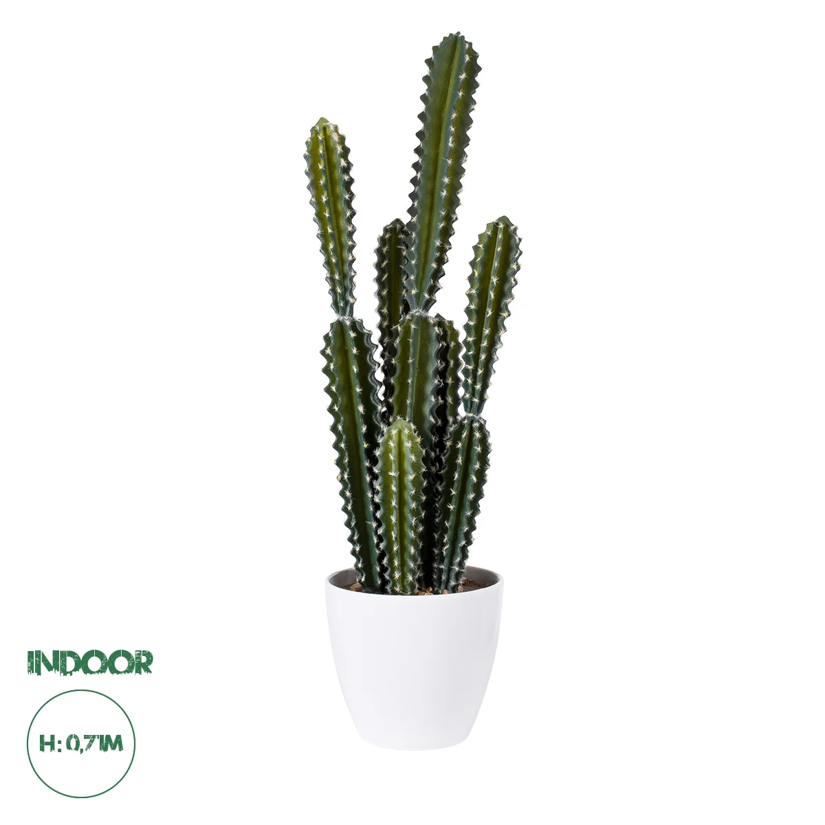 Φωτογραφία προϊόντος: GloboStar® Artificial Garden CEREUS JAMACARU CACTUS 20095 Τεχνητό Διακοσμητικό Φυτό Κάκτος Κηρίος Υ71cm