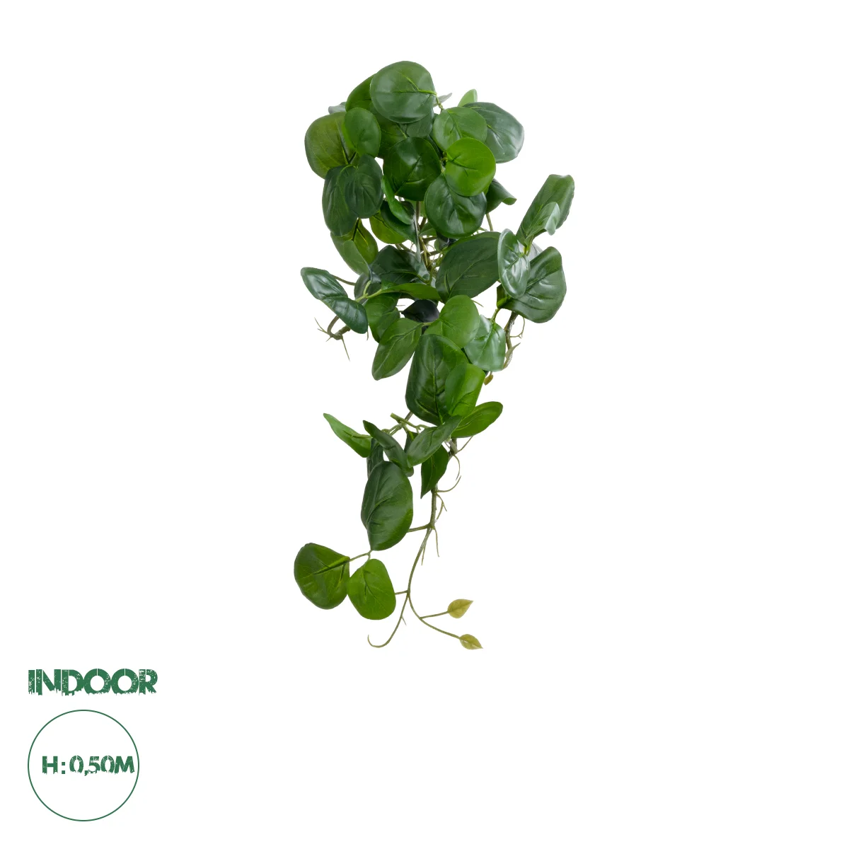 Φωτογραφία προϊόντος: GloboStar® Artificial Garden HANGING PEPEROMIA 20599 Τεχνητό Διακοσμητικό Κρεμαστό Φυτό Πεπερόμια Μ30 x Π31 x Υ50cm
