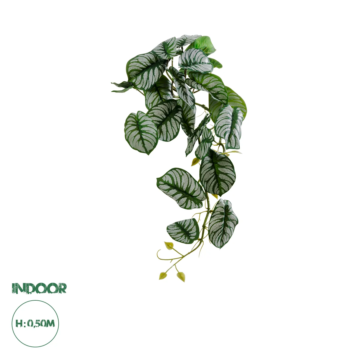 Φωτογραφία προϊόντος: GloboStar® Artificial Garden HANGING ALOCASIA 20601 Τεχνητό Διακοσμητικό Κρεμαστό Φυτό Αλοκάσια Μ28 x Π27 x Υ50cm
