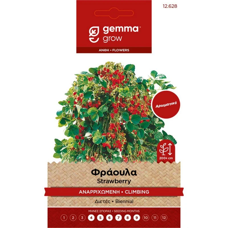 Φωτογραφία προϊόντος: GEMMA ΣΠΟΡΟΙ Φράουλα Αναρριχώμενη