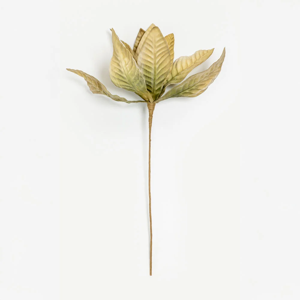 Φωτογραφία προϊόντος: WILDFLOWERS ΚΛΑΔΙ ΤΕΧΝΗΤΟ 68cm FOAM ΠΡΑΣΙΝΟ