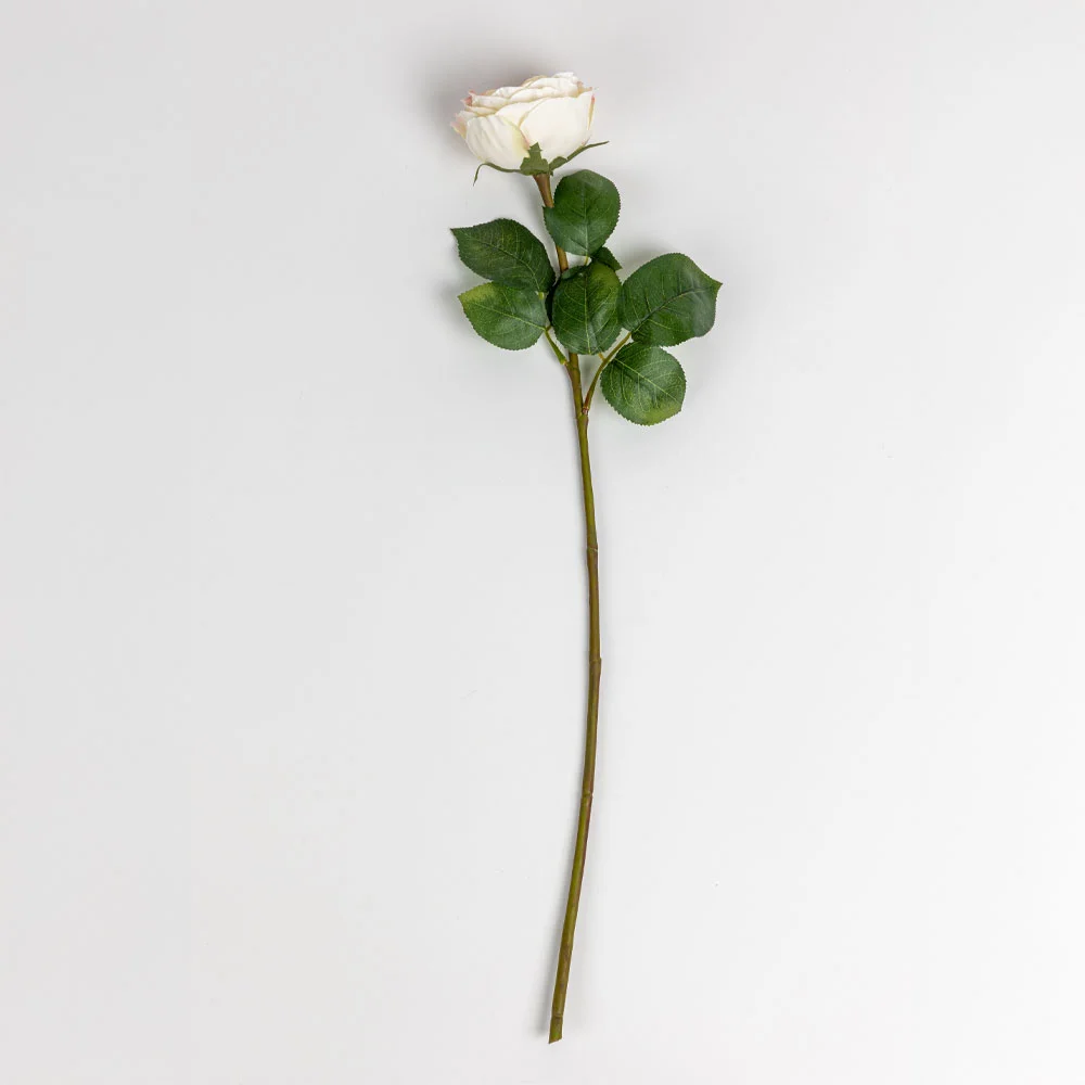 Φωτογραφία προϊόντος: CABBAGE ROSE ΛΟΥΛΟΥΔΙ ΤΕΧΝΗΤΟ 66cm POLYESTER ΛΕΥΚΟ ΡΟΖ ΠΡΑΣΙΝΟ