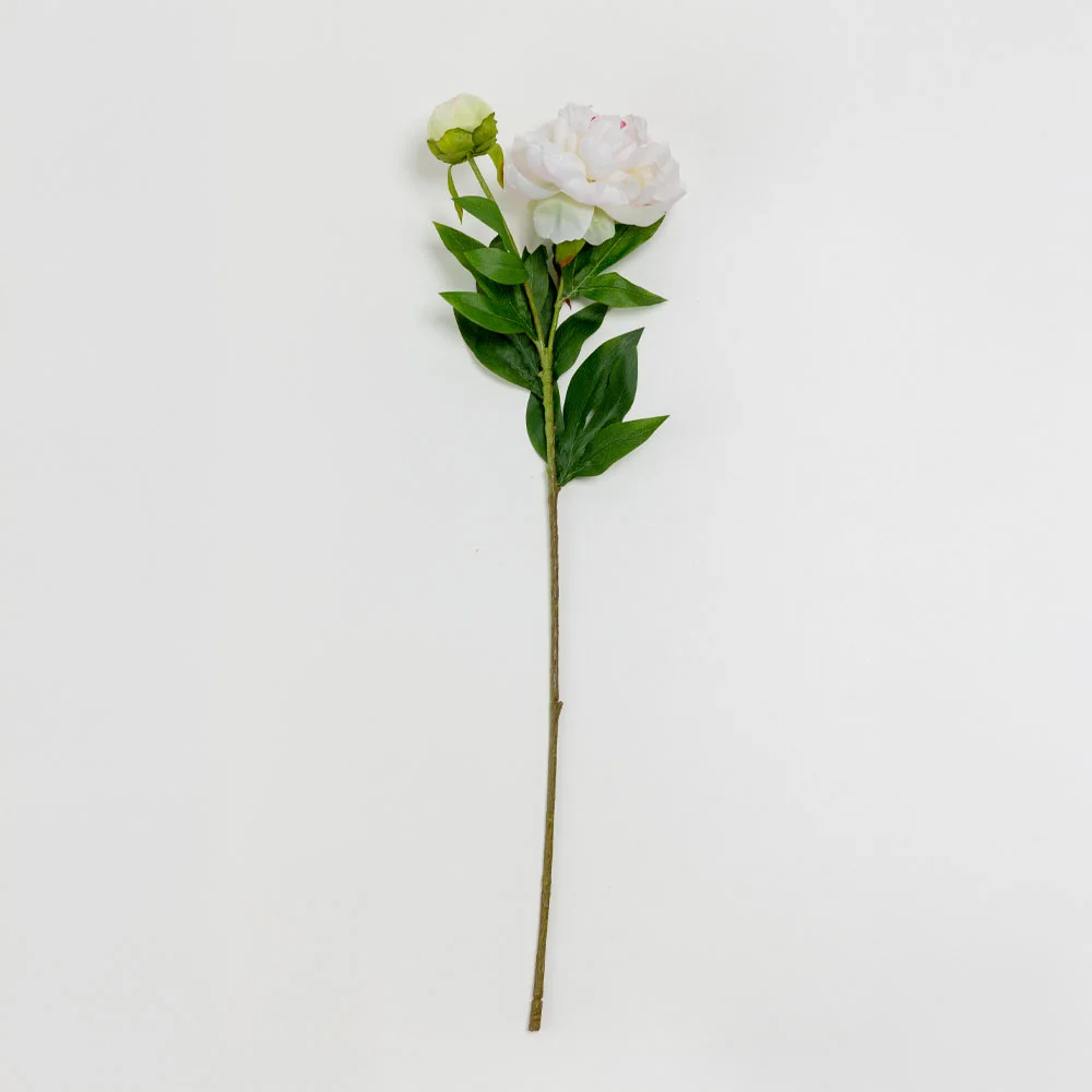 Φωτογραφία προϊόντος: PEONY ΛΟΥΛΟΥΔΙ ΤΕΧΝΗΤΟ 67cm POLYESTER ΛΕΥΚΟ ΡΟΖ ΠΡΑΣΙΝΟ