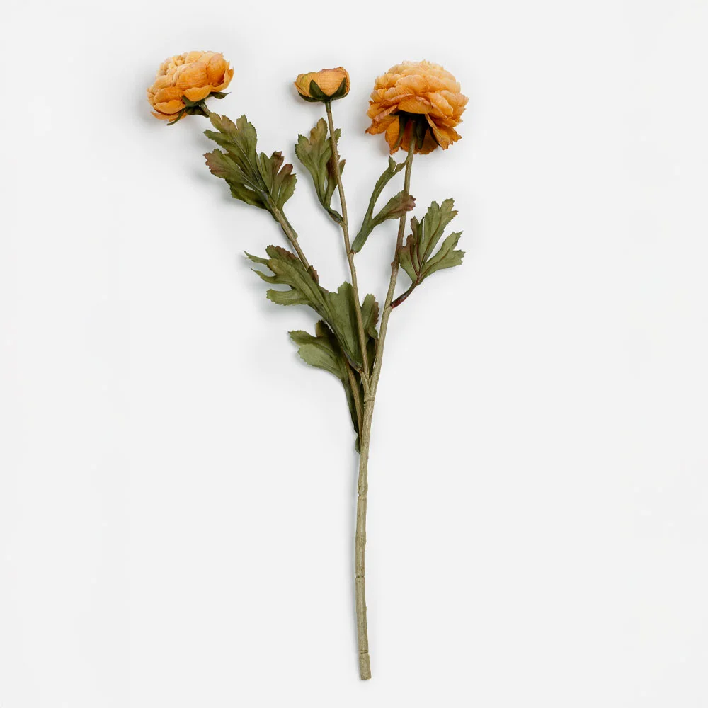 Φωτογραφία προϊόντος: GRACEFUL RANUNCULUS ΛΟΥΛΟΥΔΙ ΤΕΧΝΗΤΟ 52cm POLYESTER ΠΟΡΤΟΚΑΛΙ ΠΡΑΣΙΝΟ