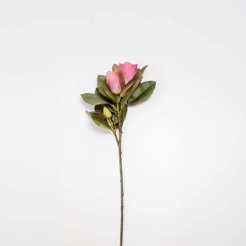 Φωτογραφία προϊόντος: MAGNOLIA ΛΟΥΛΟΥΔΙ ΤΕΧΝΗΤΟ 83cm POLYESTER ΦΟΥΞΙΑ ΠΡΑΣΙΝΟ