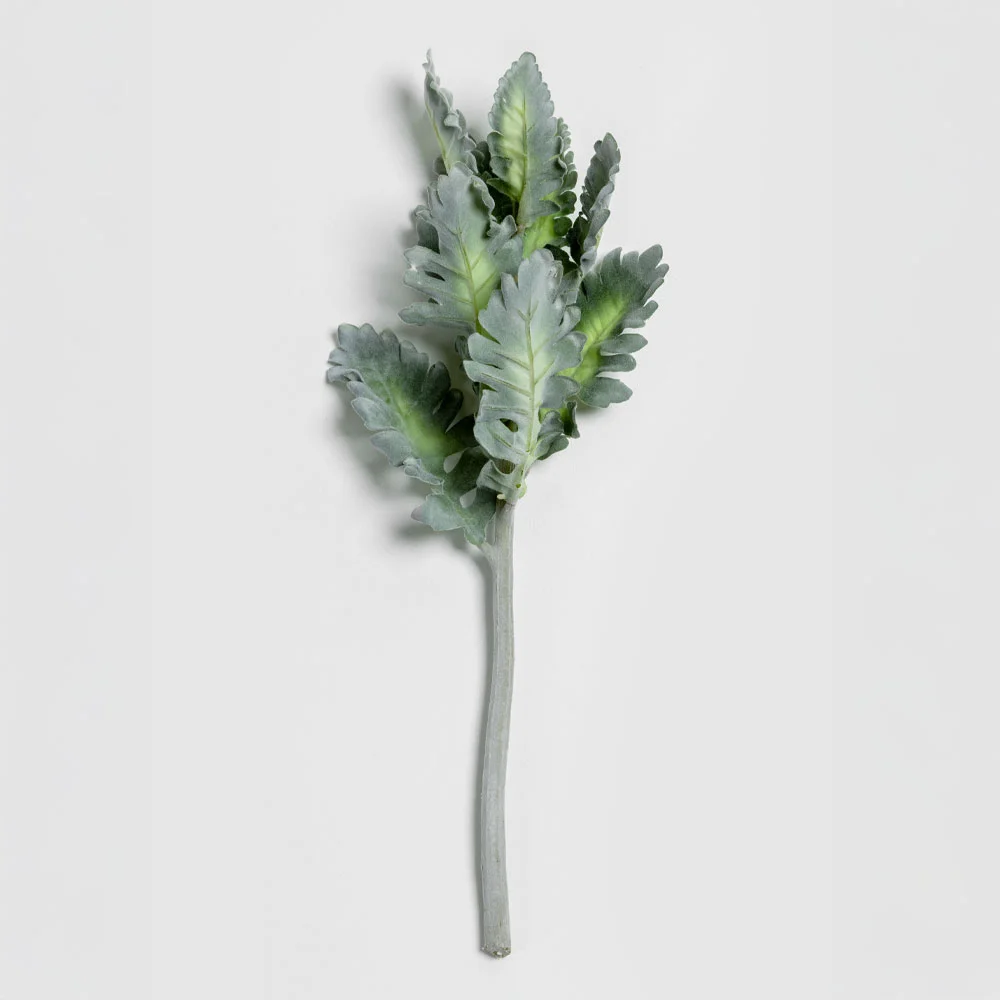 Φωτογραφία προϊόντος: SENECIO CINERARIA ΚΛΑΔΙ ΤΕΧΝΗΤΟ 38cm POLYESTER ΠΡΑΣΙΝΟ