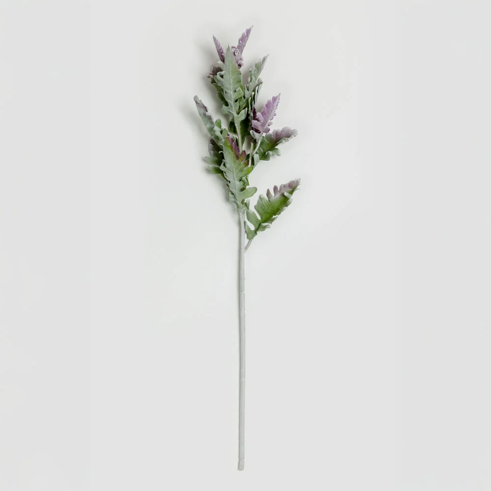 Φωτογραφία προϊόντος: SENECIO CINERARIA ΚΛΑΔΙ ΤΕΧΝΗΤΟ 76cm POLYESTER ΠΡΑΣΙΝΟ ΜΩΒ