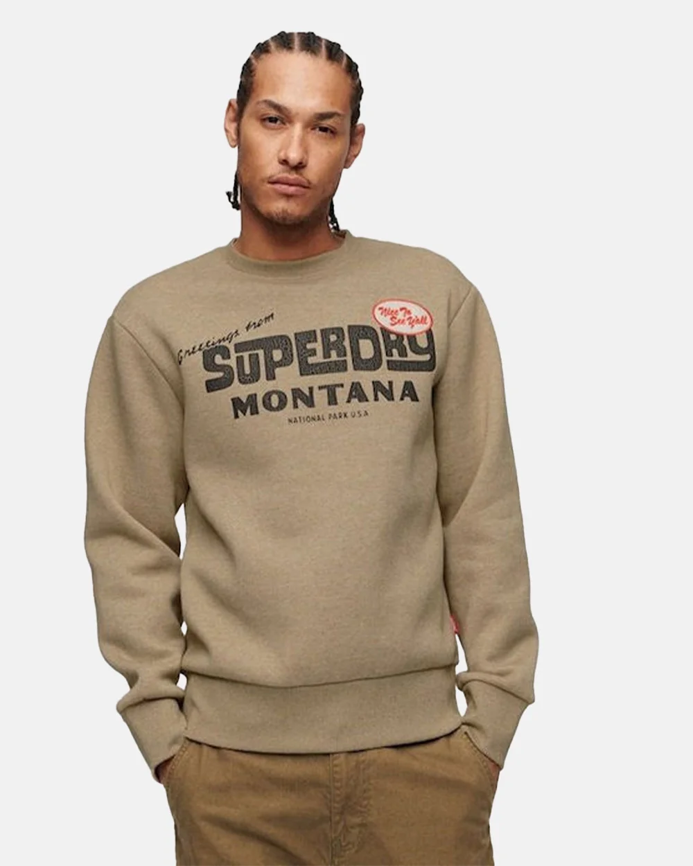 Φωτογραφία προϊόντος: SUPERDRY D3 OVIN TRAVEL POSTCARD GRAPHIC CREW #ad987b