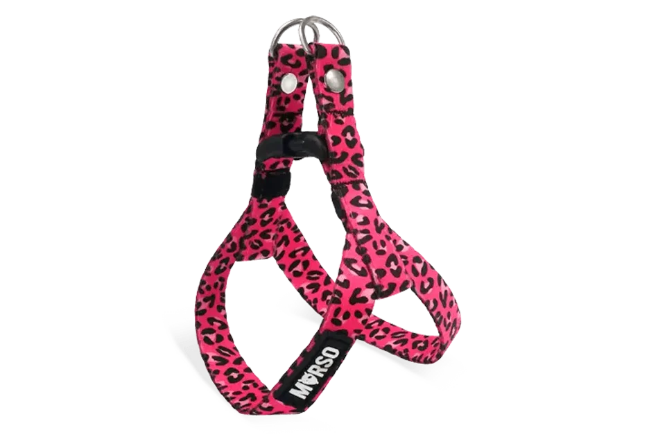 Φωτογραφία προϊόντος: MORSO H MINI HARNESS BUBBLE LEO