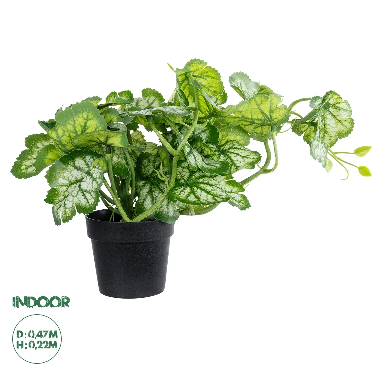 Φωτογραφία προϊόντος: GloboStar® Artificial Garden BEGONIA PLANT 20958 Διακοσμητικό Φυτό Βιγόνια Φ47 x Υ22cm
