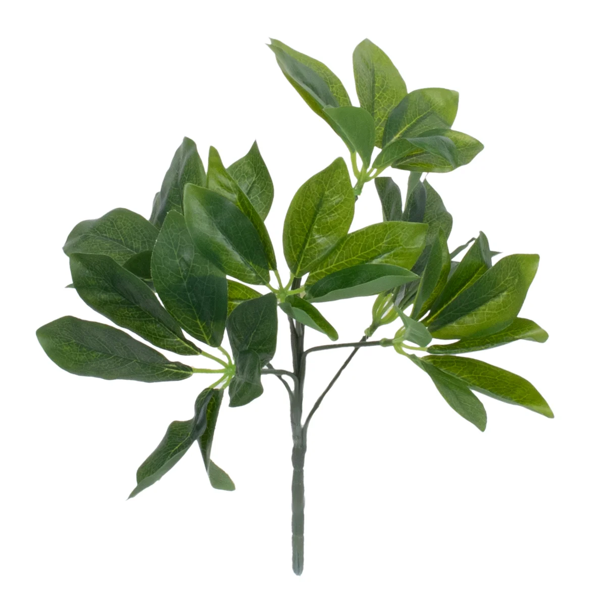 Φωτογραφία προϊόντος: GloboStar® SCHEFFLERA 78222 Τεχνητό Φυτό Σεφλέρα - Μπουκέτο Διακοσμητικών Φυτών - Κλαδιών με Φύλλωμα Πράσινο Υ30cm