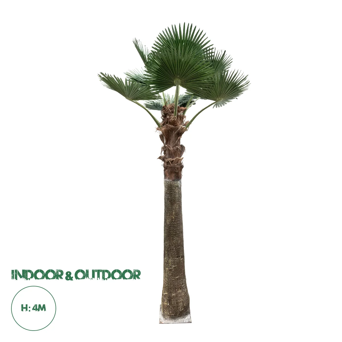 Φωτογραφία προϊόντος: GloboStar® Artificial Garden PLANT PALM TREE 21055 Διακοσμητικό Δέντρο Φοίνικα Φ240 x Υ400cm