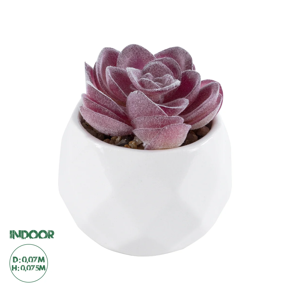 Φωτογραφία προϊόντος: GloboStar® Artificial Garden SUCCULENT ECHEVERIA 21000 Διακοσμητικό Φυτό Παχύφυτο Εχεβέρια Υ7.5cm