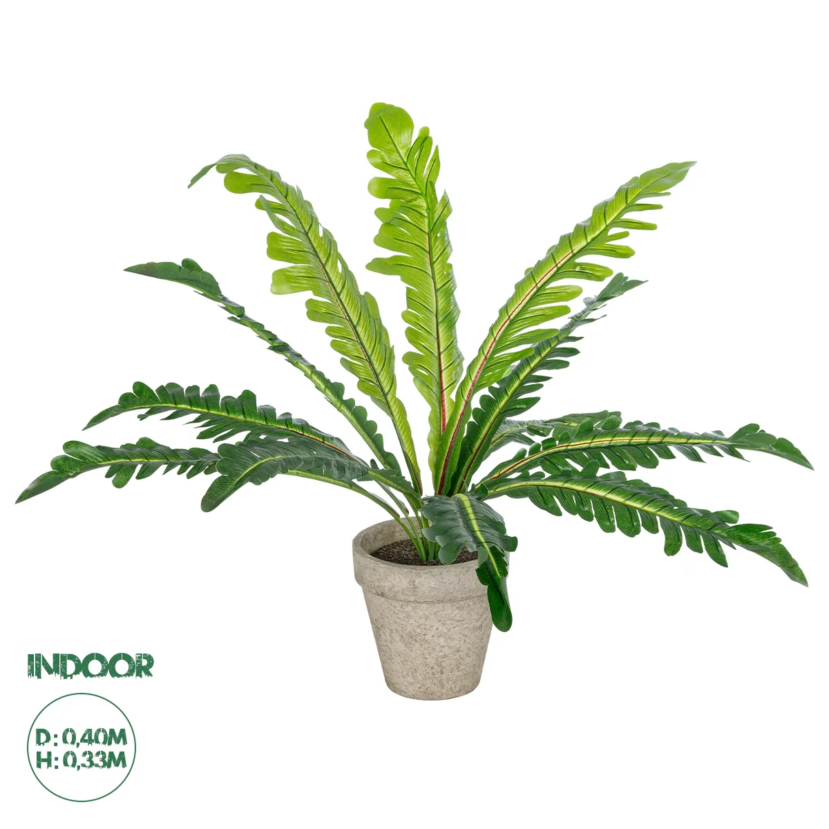 Φωτογραφία προϊόντος: GloboStar® Artificial Garden ASPLENIUM POTTED PLANT 20904 Διακοσμητικό Φυτό Aslenium Φ40 x Υ33cm