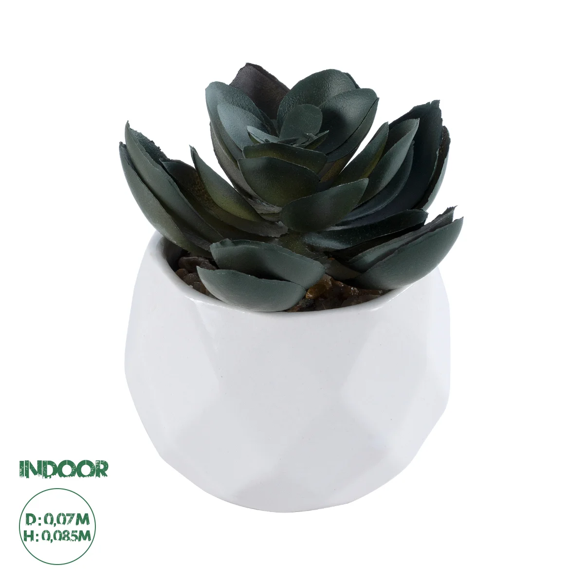 Φωτογραφία προϊόντος: GloboStar® Artificial Garden SUCCULENT ECHEVERIA 20990 Διακοσμητικό Φυτό Παχύφυτο Εχεβέρια Υ8.5cm