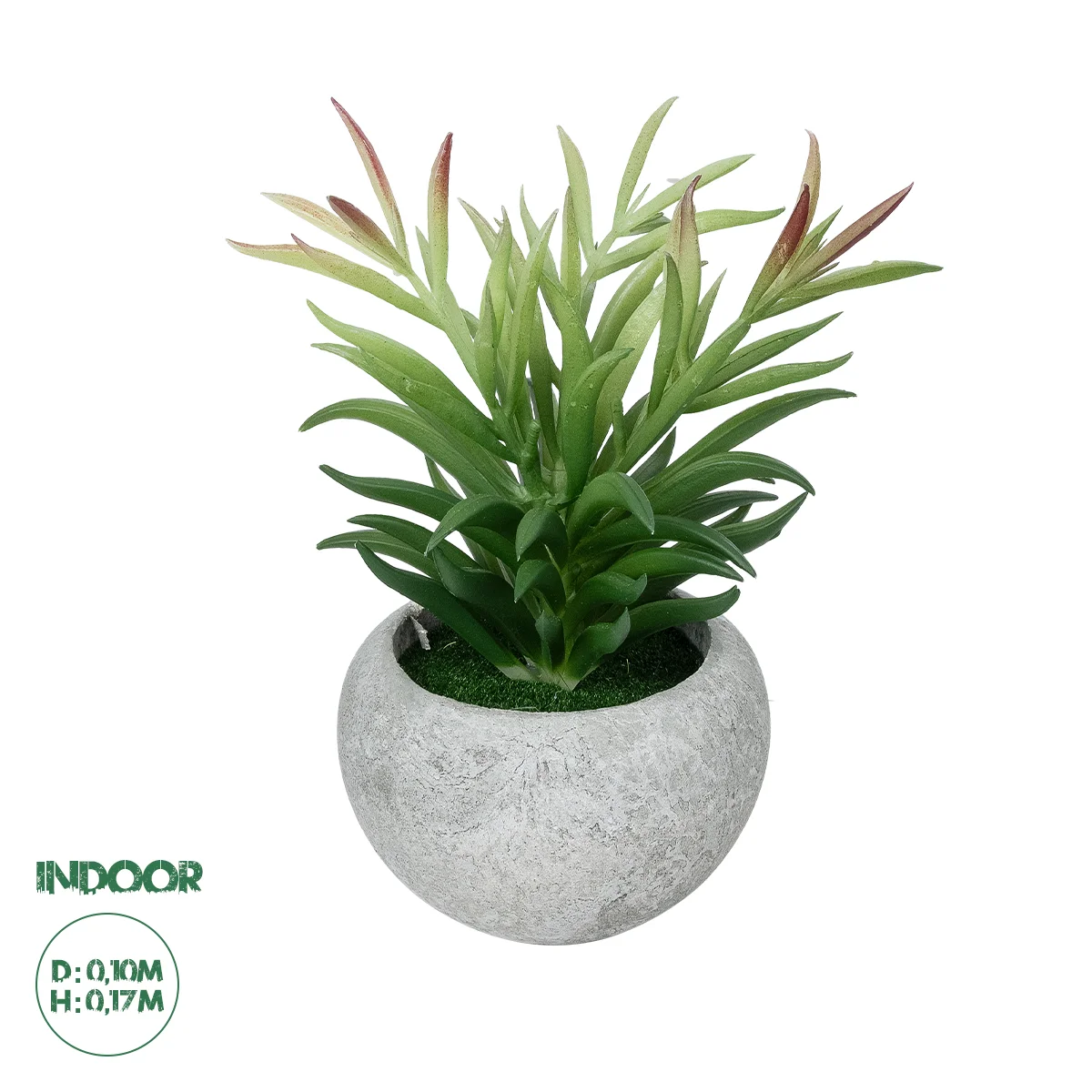 Φωτογραφία προϊόντος: GloboStar® Artificial Garden SUCCULENT CRASSULA POTTED PLANT 21038 Διακοσμητικό Φυτό Κρασούλα Φ10 x Υ17cm