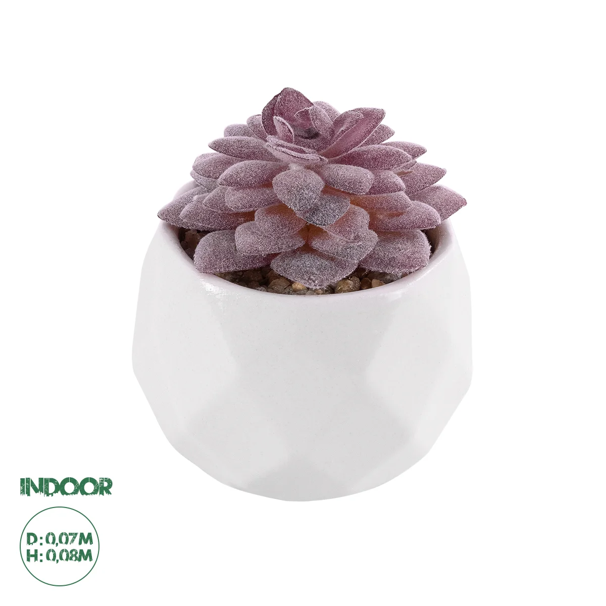 Φωτογραφία προϊόντος: GloboStar® Artificial Garden SUCCULENT SEDEVERIA 21005 Διακοσμητικό Φυτό Παχύφυτο Σεντεβέρια Υ8cm